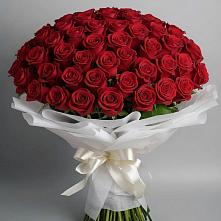 Букет 101 Красная роза Блэк Мэджик в Нелидово