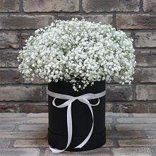 Цветочная композиция из Гипсофила в шляпной коробке в Нелидово