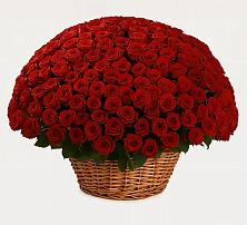 Премиум букет из: Розы в Нелидово